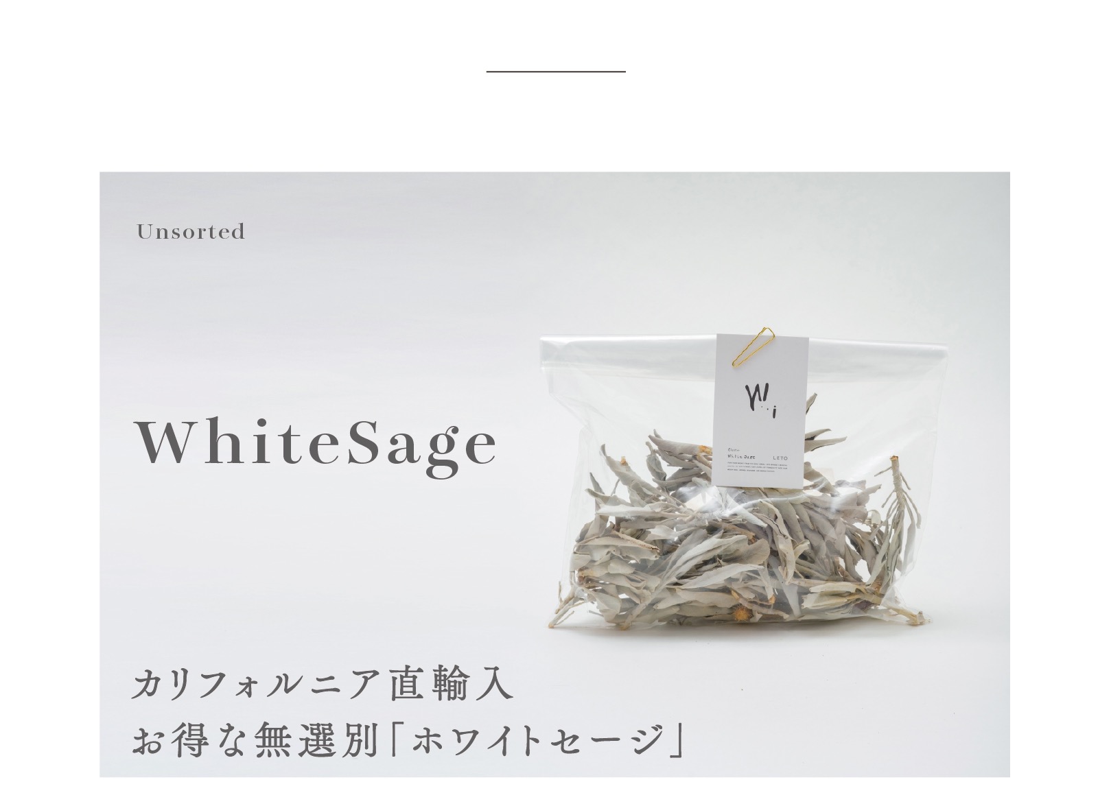 カリフォルニア産高品質ホワイトセージ無選別